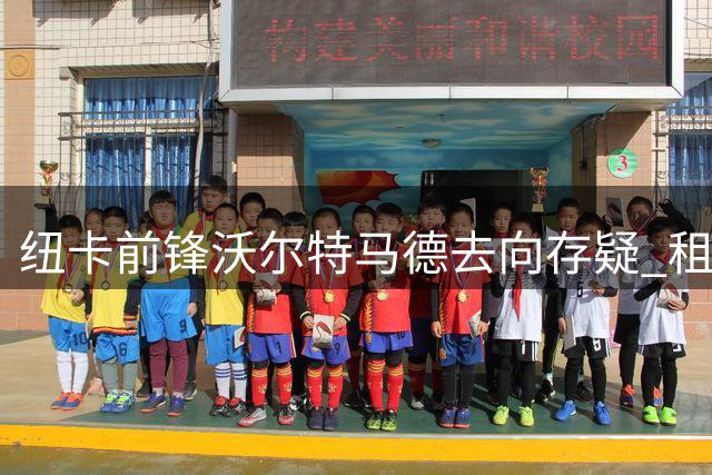 纽卡前锋沃尔特马德去向存疑 租借可能但球员欲留队